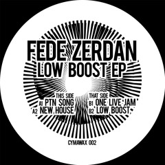 Fede Zerdan - PTN - SONG (Preview)