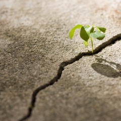 Cody B_The Beginning (Original Mix) [Preview]