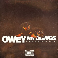 Owey - My Dawgs Prod By Stevie B