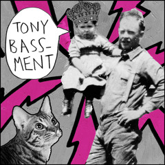 Tony Bassment – What Feels Good (Nick Harvin Remix)