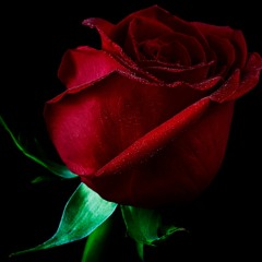 Sounds from Thursday afternoon