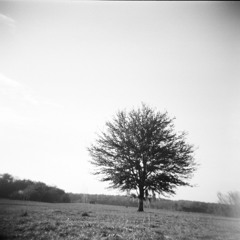 Shifting
