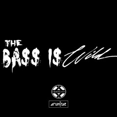 Arum Rae - The Bass Is Wild [EBXCIII Mashup]