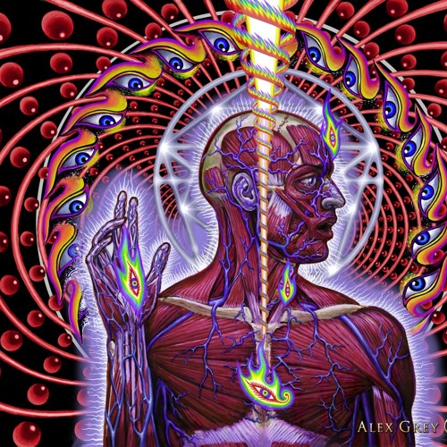 Lateralus T5
