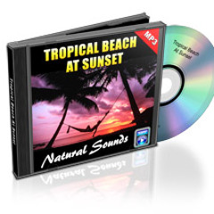 Umbrella bundle #1:08 Tropical Beach At Sunset