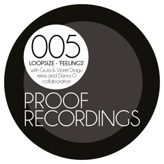 Loopsize - Feelings (Gruia And Viorel Dragu Remix) (Preview)