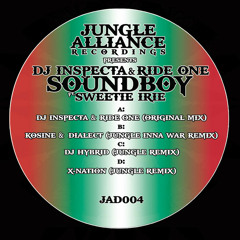 ragga jungle