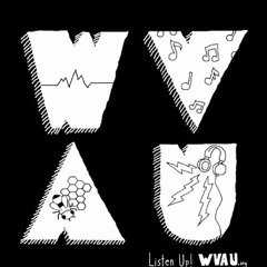 Juan Wauters - I'm All Wrong [Live on WVAU]