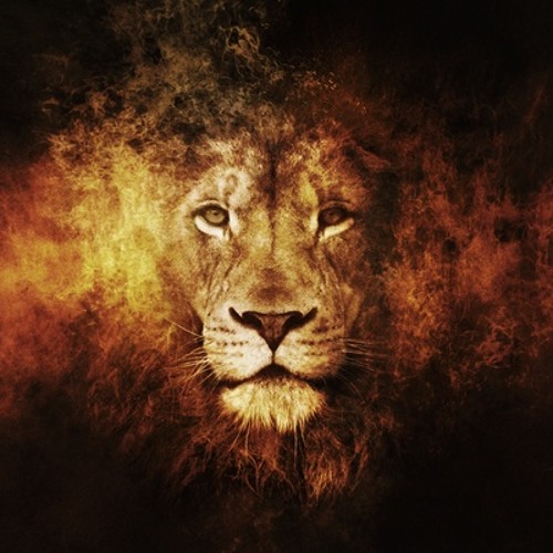 Heart Of A LionHD(Prod. Northern Light@)