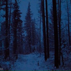 Kargo X D Rodman X Krazy B - "Snow Bars (Part 2)"