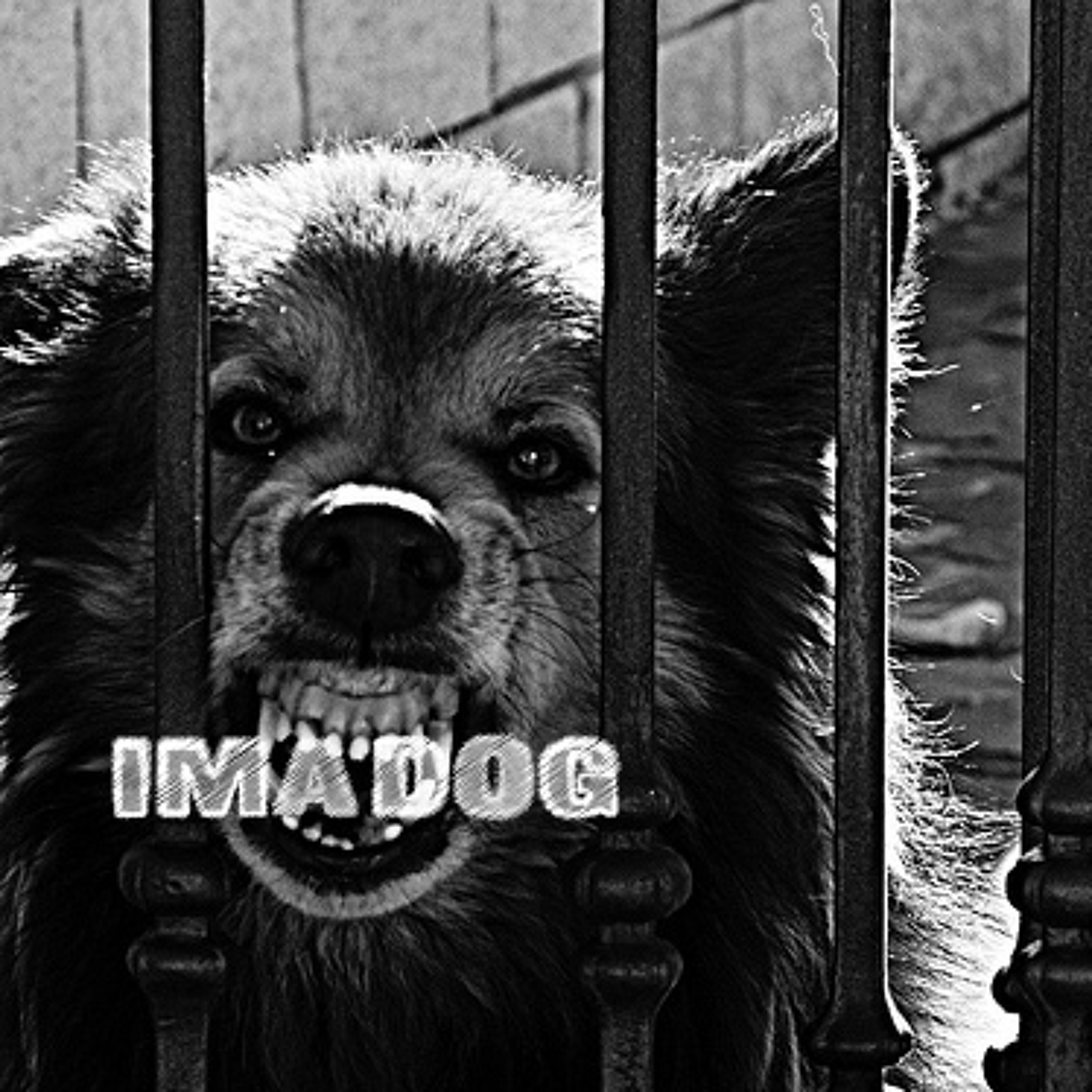 Ima Dog episode artwork