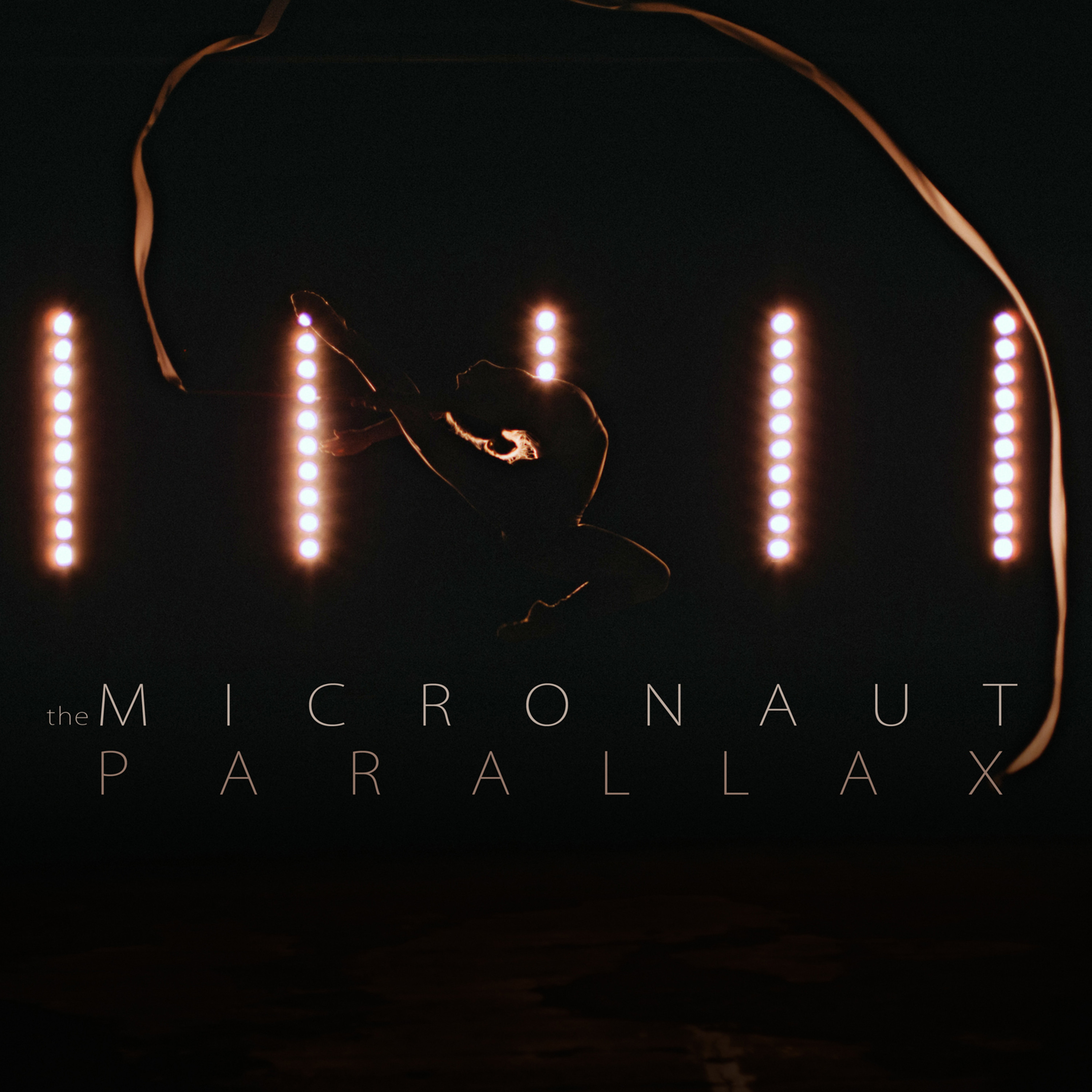 THE MICRONAUT