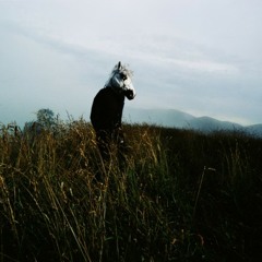 Hundreds Of Sparrows (Sparklehorse Cover)
