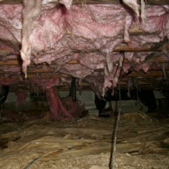 Crawlspace