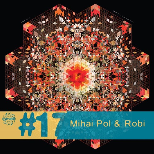 #17 - Mihai Pol & Robi