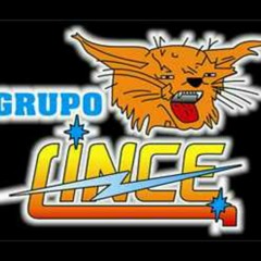 Grupo Lince - Quiero que Me Quieras Cd 2015.mp3
