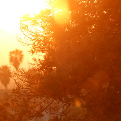 The Light Above The Earth
