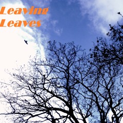 Leaving Leaves