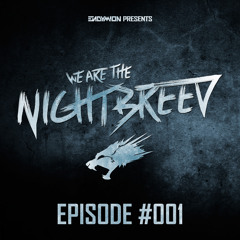 001 | Endymion - We Are The Nightbreed (Phuture Noize)