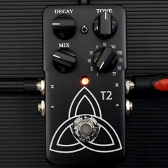 TC Electronic T2 Reverb  (REAMPING ver - play it on your amp!)