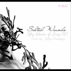 Salted Wounds (Fifty Shades of Grey OST) Cover  - Jellyn Rodriguez