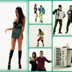 Evrokrem Barabe - Crna Golubice 2015  (Extended RmX By DJ Vujo#91)