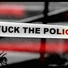 The Prodigy vs N.W.A. - Fuck The Police Power (Boombeer, The Crime Synth, Nicky Shkolny Mash Up)