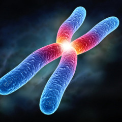 ganzo quando vado in bagno