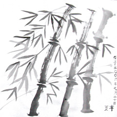 Ik Zit Op Een Kameel