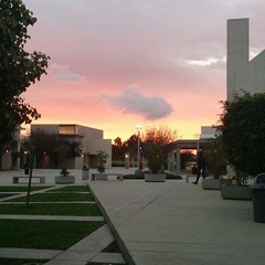 Adele Vs Lorde Team Set Fire To The Rain