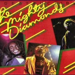 08. Party Time - Mighty Diamonds