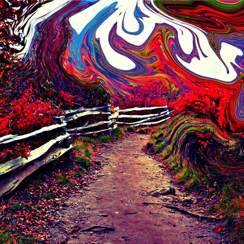 Paradox
