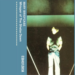 Mary Briefcase - Reflesta Pictons
