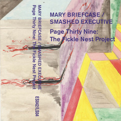 Mary Briefcase/Smashed Executive - It's Afternoon