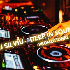 DjSilviu - Deep In Sound Promotional Mix