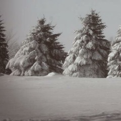 Stopping By Woods on a Snowy Evening
