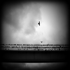 Metanoia