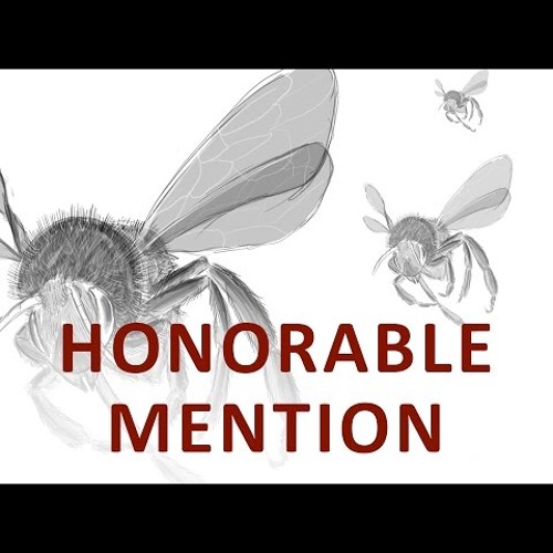 The Beginning and the End with Omar Suleiman - Honorable Mention (Ep 7)-CO-FxzfdtF0