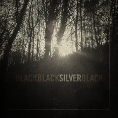 The Sound Of Silence (Simon & Garfunkel cover)