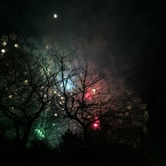 FIREWORKS One Shot Demo