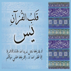 سورة يس للقارئ الشيخ حجاج الهنداوى