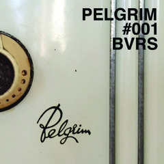 PELGRIM 001: MIXTAPE