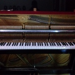 Medley: Fur Elise & River Flows in You (piano cover) by suryatentacle