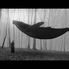 Dabbar Whale - Вечное Сияние Чистого Разума