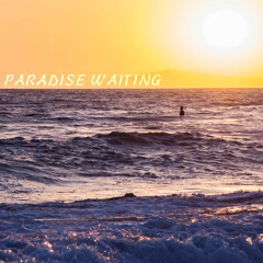 Paradise Waiting (Vacationer Cover)