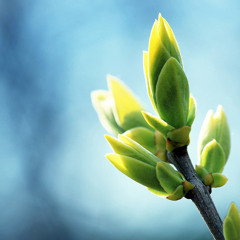 Selected Mixes Spring 2015