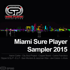Miami Sure Player Sampler Promo Mix - VA