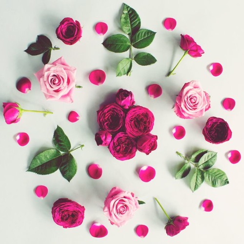 للهِ في الآفاقِ آياتٌ •٠