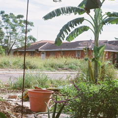 No Place I'd Rather Be