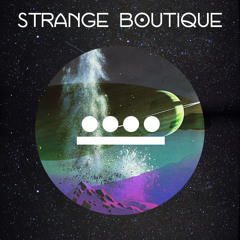 13 Moon Cycle Mixes - Strange Boutique (Solar Moon)